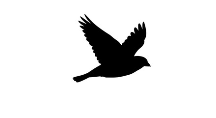 Obraz premium Silhouette ImageFX Captivating Flight of a Bird in Elegant Silhouette 