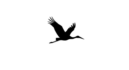 Obraz premium Elegant Black Silhouette of a Crane in Flight