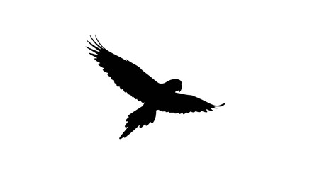 Obraz premium Elegant black silhouette of a tropical bird in powerful flight, isolated against a crisp white backdrop, ideal for modern graphic design and digital media applications