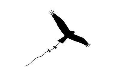Obraz premium Silhouette of a Bird of Prey Kite Flying Against a White Background, Symbolizing Freedom and Nature