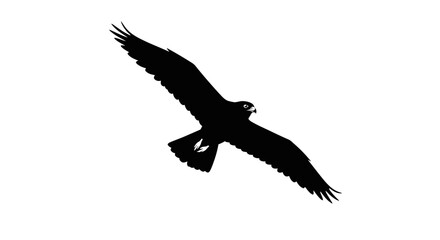 Fototapeta premium A striking black silhouette of a majestic bird of prey in full flight, isolated on a clean white background, representing freedom and nature's power