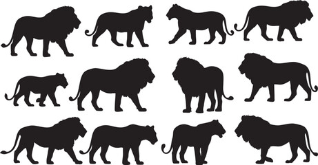 Collection of Lion and Lioness Silhouettes on White Background, lion, lions, lioness, silhouette, animal, wildlife, africa, big cat, predator, king, queen, mane, cat, feline, mammal, wild, nature, saf
