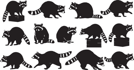 Fototapeta premium Collection of Raccoon Silhouettes in Different Poses, silhouette, raccoon, animal, wildlife, masked bandit, creature, mammal, illustration, graphic, design, vector, collection, group, variety, differe
