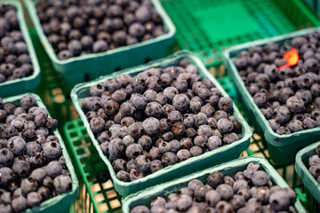 View of raspberries in grocery store.