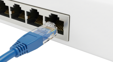 Network Connectivity: An up-close view of a network switch with a blue Ethernet cable plugged in, ready to transmit data. This image conveys technology and connectivity.