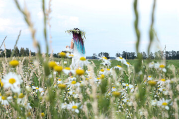 Silhouette of a twelve year old girl in a chamomile field