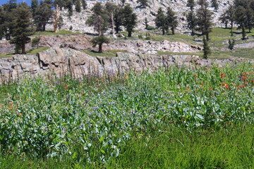 Obraz premium Sierra Nevada mountain range