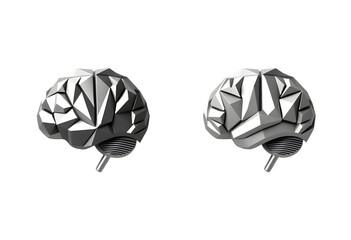 3D Rendered Brain in Two Perspectives