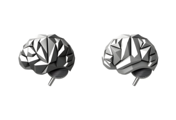 3D Rendered Brain in Two Perspectives