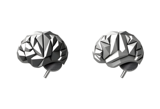 3D Rendered Brain in Two Perspectives