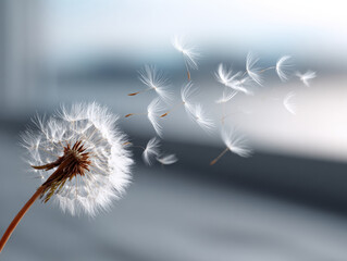 Close up view of dandelion puff releasing delicate seeds into air, creating serene and whimsical atmosphere. soft focus background enhances beauty of nature fleeting moments