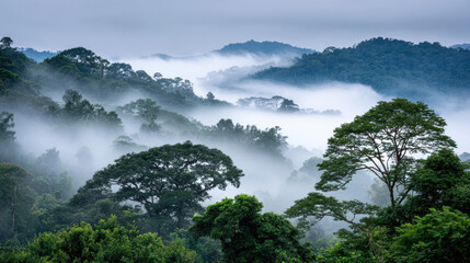 Serene landscape showcasing lush green trees and misty hills, enveloped in soft fog. tranquil atmosphere evokes sense of peace and connection with nature