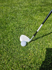 Golf club poised above golf ball on green grass ready for a swing