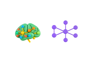 Brain and Neural Network Connections