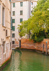 Narrow Venetian canal with brick walls and green tree