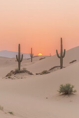 Desert Landscape with Saguaro Cacti, Dunes, and Sunset