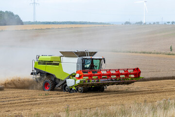 grain harvest
