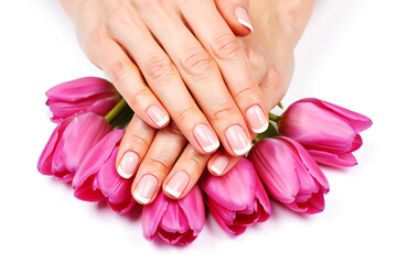 Fototapeta premium Elegant French manicured hands with pink tulips nails