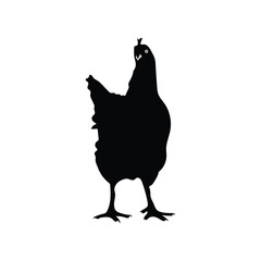 Hen Silhouette Vector Illustration With White Background.