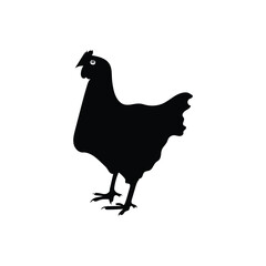 Hen Silhouette Vector Illustration With White Background.