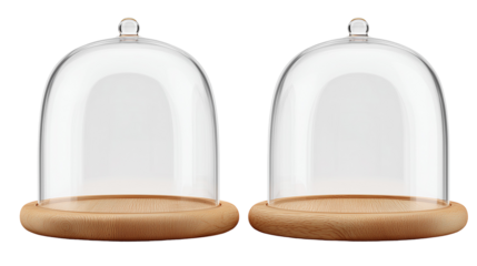 Two empty glass cloches with wooden bases