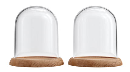Two glass domes with wooden bases