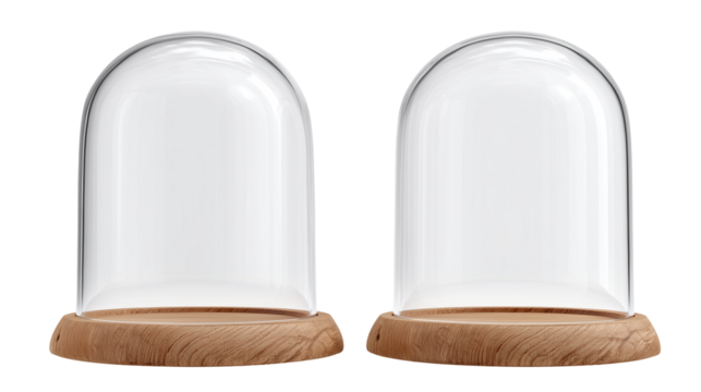 Two glass domes with wooden bases