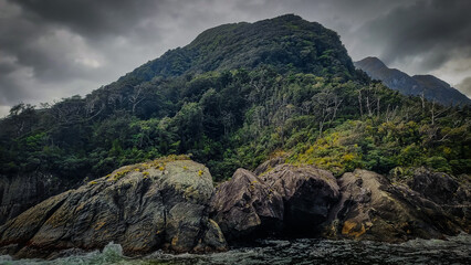 Rocky Outcrop and Rainforest of Milford Sound