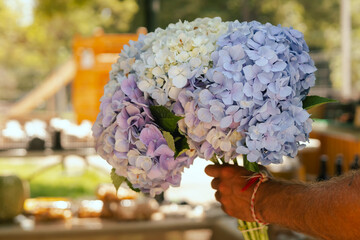 Fresh flowers at small local urban market. Organic produce on sale at outdoor farmer market....