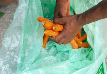 Close-up of hands putting carrot into a bag at a local market. Organic produce on sale at outdoor...