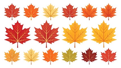Fototapeta premium collection of autumn maple leaf on white background. set of colored maple leaf icons