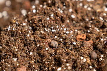 rich organic potting soil with perlite and clay pebbles, perfect for gardening, plant growth,...