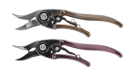 Two metal shears with curved blades