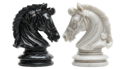 Chess knights: marble figures