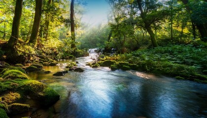 Fototapeta premium whispering waters a tranquil stream meanders through an enchanted forest