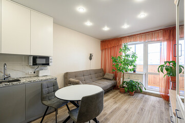 Cozy living space with kitchen, sofa, table, chairs, plants, and balcony access.  Modern interior