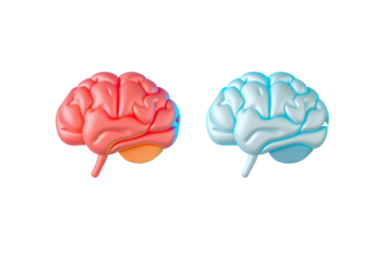 3D Brain Render A DualColored Conceptual Representation