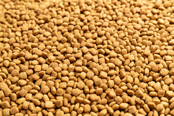 Food for animals background. Dry cat and dog food texture, pattern. Pet meal background close up. Dry food for pet dogs and cats. Dried pet food top view. Granules of good nutrition for dogs and cats.