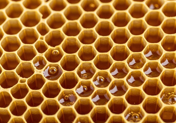 Macro View of Honeycomb Cells Filled with Golden Honey