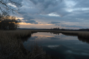 A natural landscape where grey clouds cover the sky at sunset, formed by the puddles and reeds...