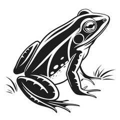 Monochrome Illustration of a Detailed Frog with Striking Markings, Eye, and Legs, Enhanced by Minimalist Grass Touches