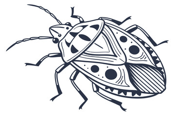 Detailed Line Drawing of Shield Bug Featuring Intricate Wing Patterns and Prominent Antennae