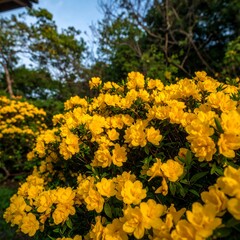Lush yellow flowers in garden