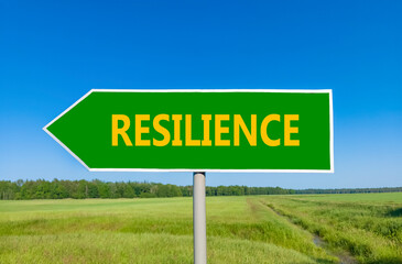 Resilience symbol. Concept word Resilience on beautiful green road sign. Beautiful blue sky green...
