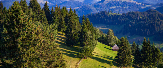 At the “Amfiteatrul Transilvania” in Romania