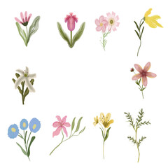 watercolor wildflowers vector