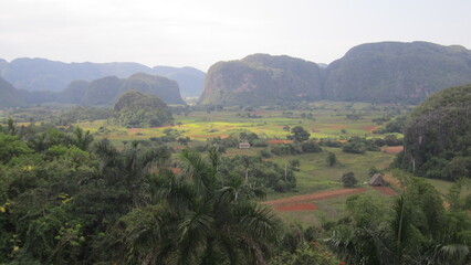 view from the top of the hill
