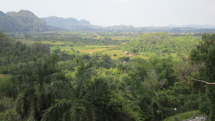 Obraz premium landscape with trees and mountains