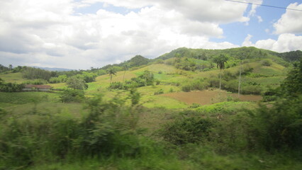 Fototapeta premium landscape with green grass and mountains