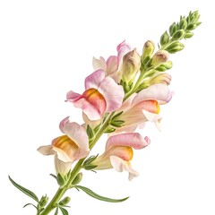 Obraz premium bouquet of pink lilies